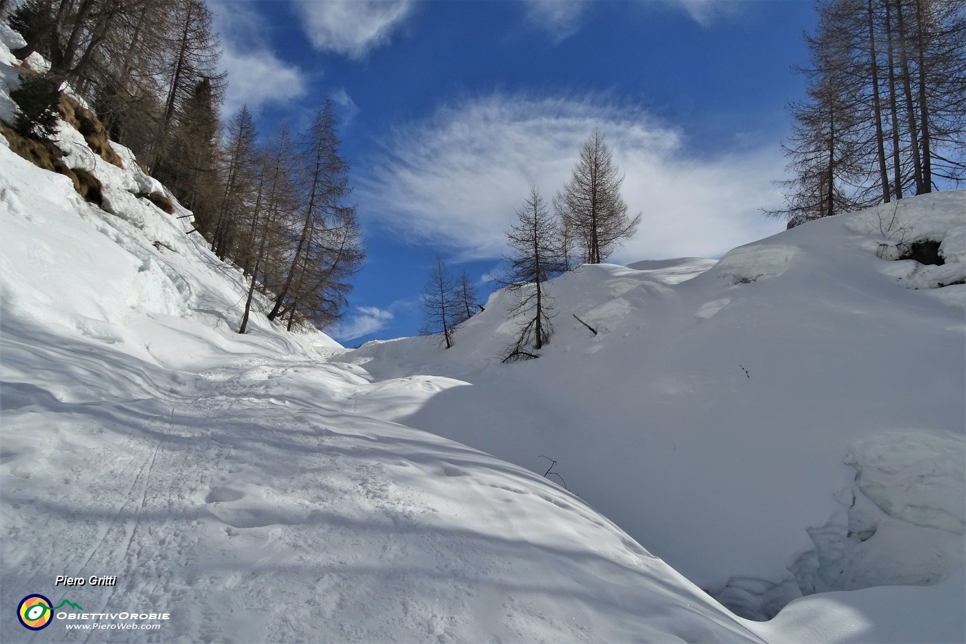 34 Belli i larici sul bianco della neve e nell'azzurro del cielo!.JPG